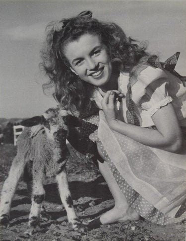 Andre de Dienes - Marilyn Monroe w/Goat - FineArt Vendor