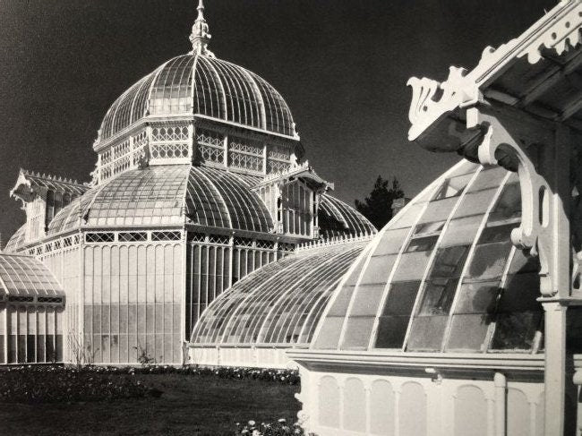 Ansel Adams - Conservatory, California 1962 - FineArt Vendor