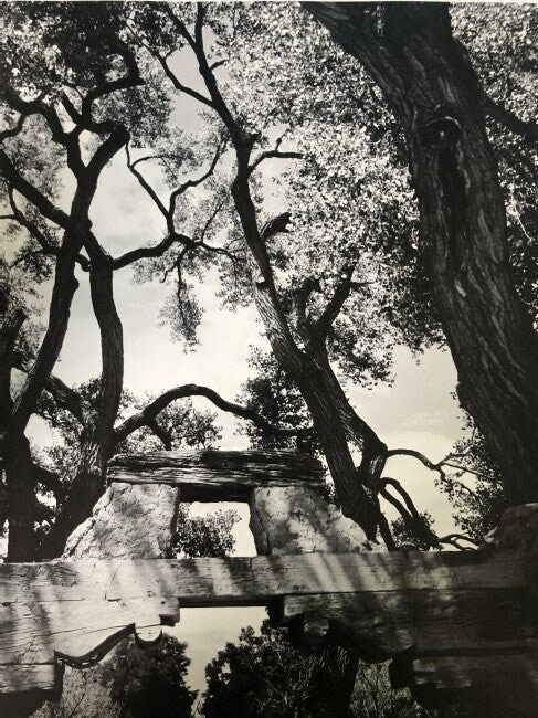 Ansel Adams - Gate, Nambe Road, New Mexico 1972 - FineArt Vendor