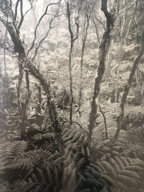 Ansel Adams - Hawaii National Park, Hawaii, T.H. - FineArt Vendor