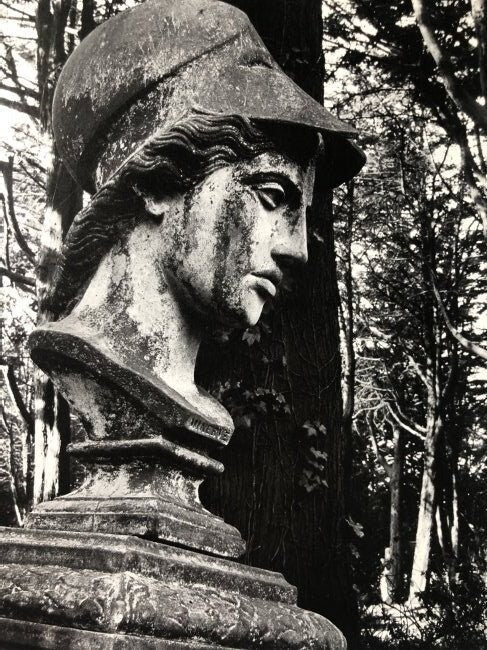 Ansel Adams - Head of Minerva, California 1934 - FineArt Vendor