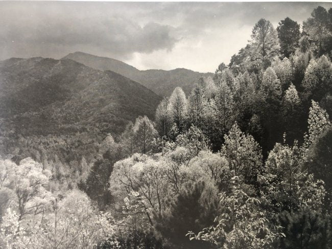 Ansel Adams - Mount LeConte, Tennessee - FineArt Vendor