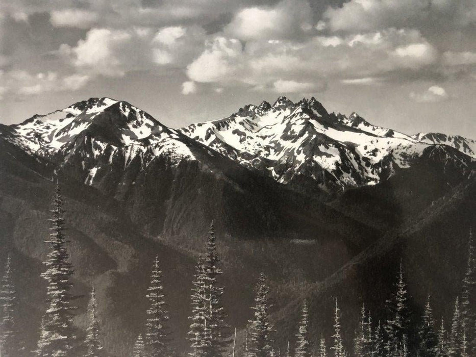 Ansel Adams - Olympic National Park, Washington - FineArt Vendor