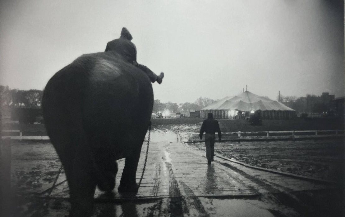Bruce Davidsons - Cycle Beatty Circus, Print in Colors - FineArt Vendor