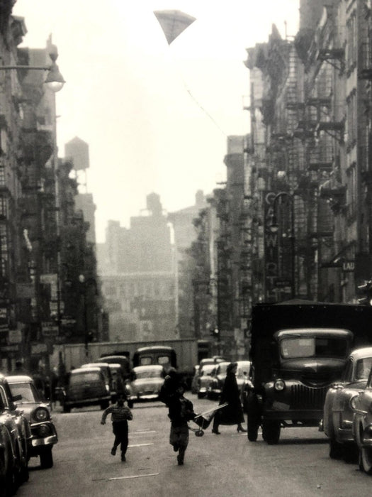Bruce Davidsons - Lower East Side, print in colors - FineArt Vendor