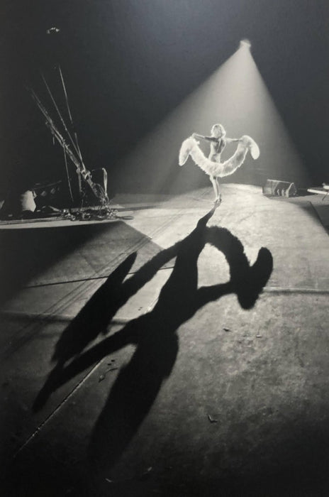 Bruce Davidsons - Ringling Brothers, print in colors - FineArt Vendor