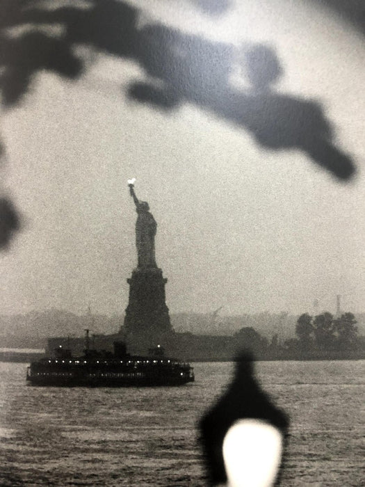 Bruce Davidsons - The Statue of Liberty, print in colors - FineArt Vendor