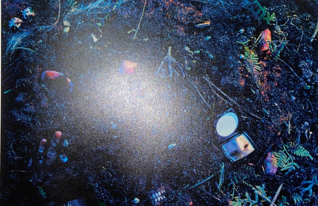 Cindy Sherman "Untitled Film Still” print in colors - FineArt Vendor