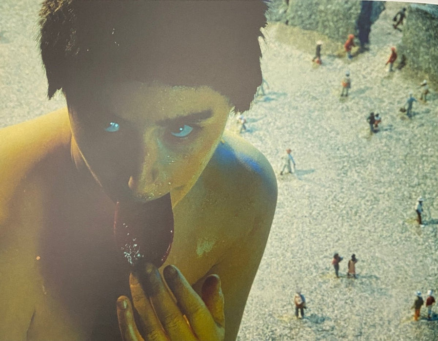 Cindy Sherman "Untitled” print in colors - FineArt Vendor