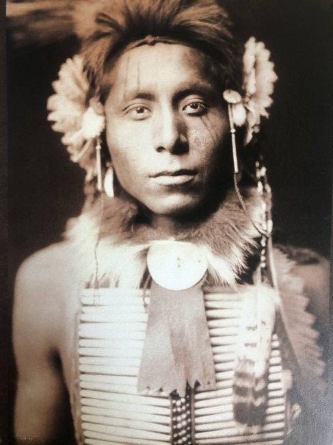 Edward Curtis - Sitting Eagle, 1905 - FineArt Vendor