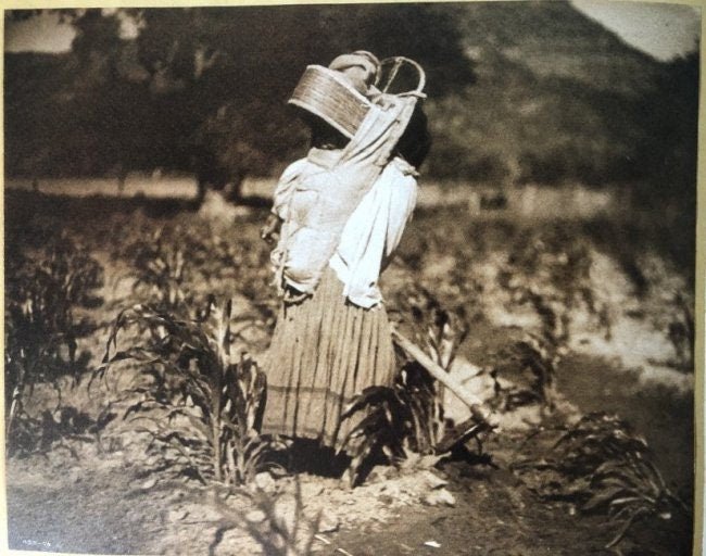 Edward Curtis - The Cornfield - Apache, 1906 - FineArt Vendor