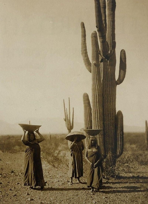 Edward Curtis - Three Maricopa women with baskets, 1907 - FineArt Vendor