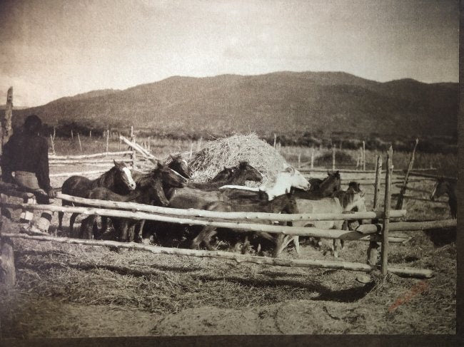 Edward Curtis - Threshing Wheat, 1905 - FineArt Vendor