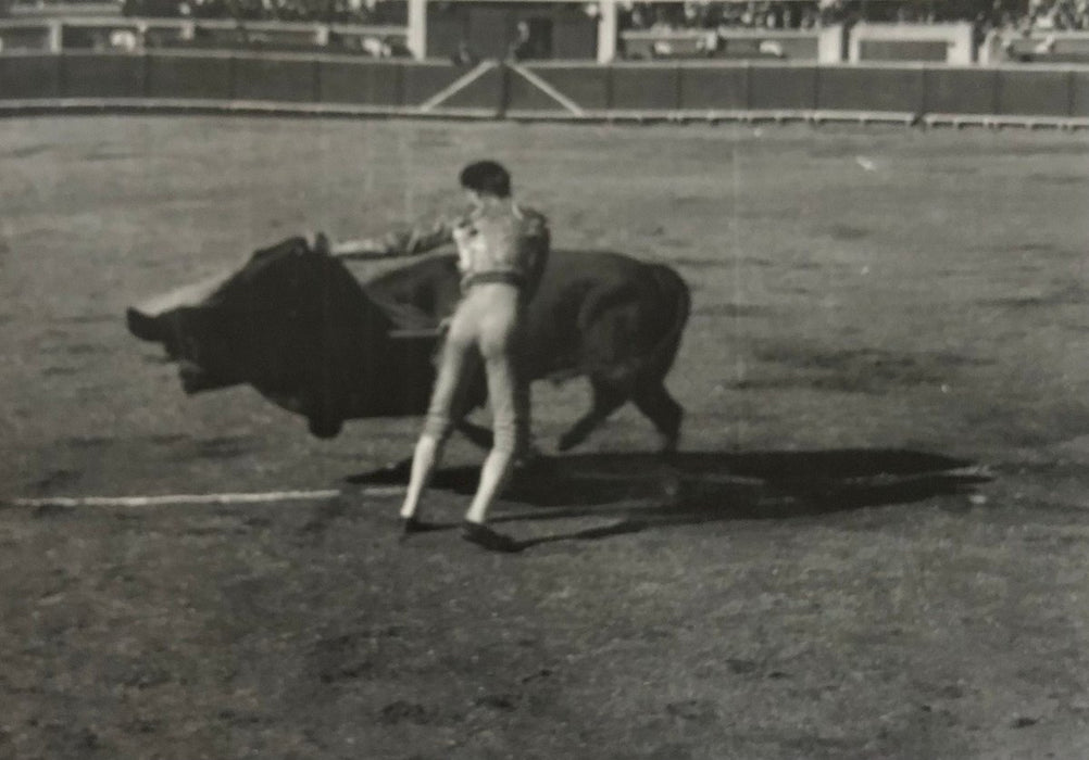 Ernest Hemingway (Bullfight) print in colors - FineArt Vendor