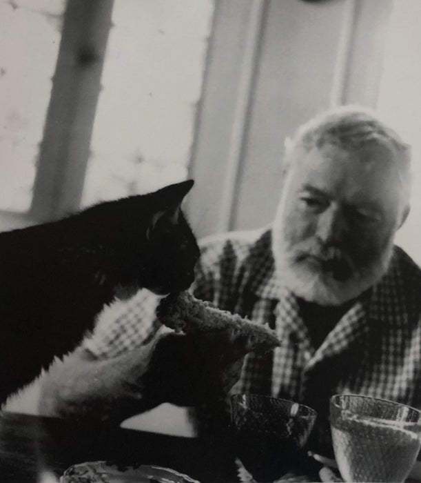 Ernest Hemingway (Friendless) print in colors - FineArt Vendor