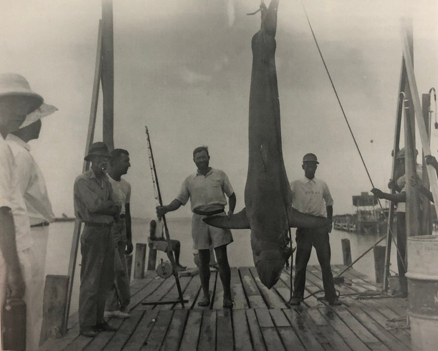 Ernest Hemingway (Mako Shark Catch) Print in Colors - FineArt Vendor