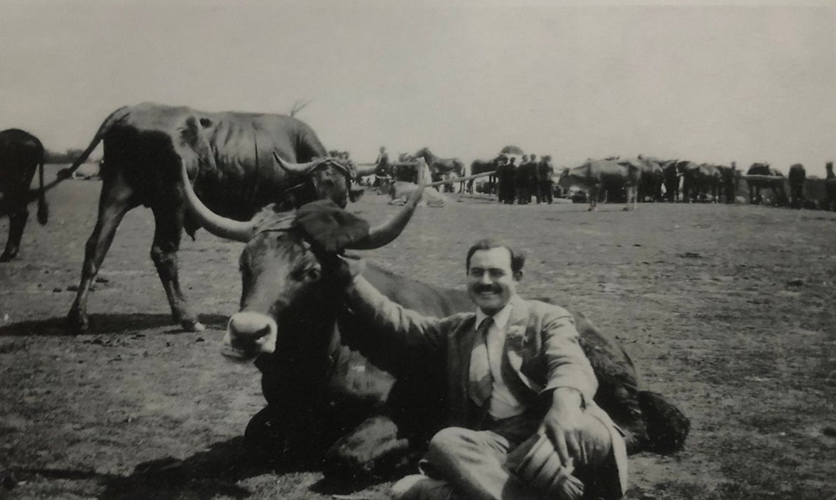 Ernest Hemingway (Sitting with Oxen) print in colors - FineArt Vendor