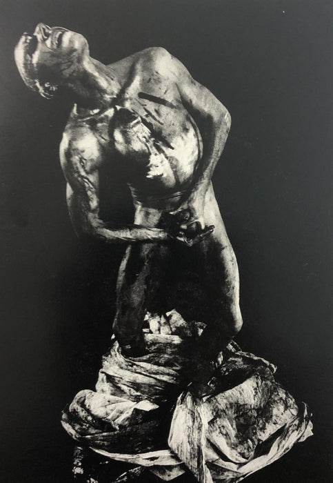 Giuliana Traverso - Francisco Copello, print in colors - FineArt Vendor