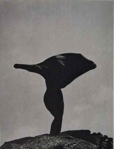 Herb Ritts - Andi MacDowell Gravure - FineArt Vendor