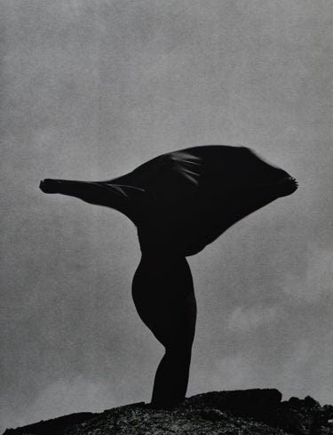 Herb Ritts - Draped Woman, Marrakech, 1985 Gravure - FineArt Vendor
