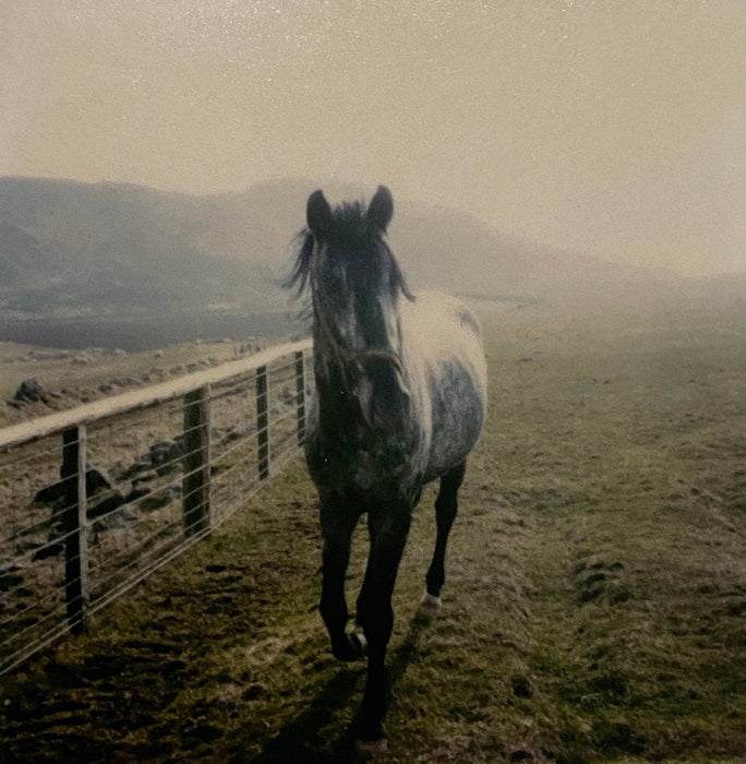 Linda McCartney Campbeltown, Scotland, 1970s print in colors - FineArt Vendor