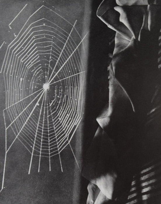 Man Ray - Composition with Spider-Web, 1930 - FineArt Vendor