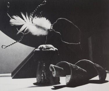 Man Ray - Origin of Species, 1935 - FineArt Vendor