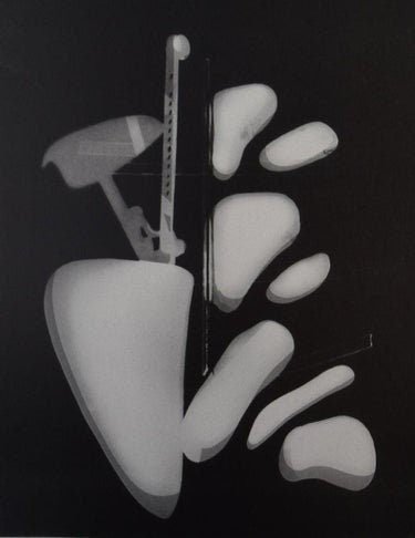 Man Ray - Rayograph, 1921-1922 - FineArt Vendor