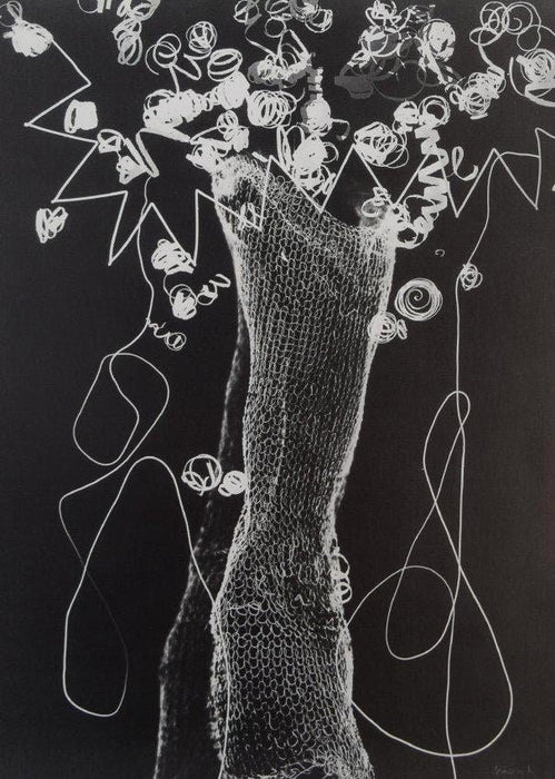 Man Ray - Rayograph, 1926 - FineArt Vendor