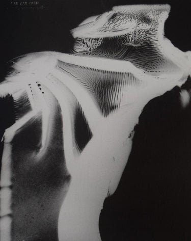 Man Ray - Rayograph, 1930 - FineArt Vendor