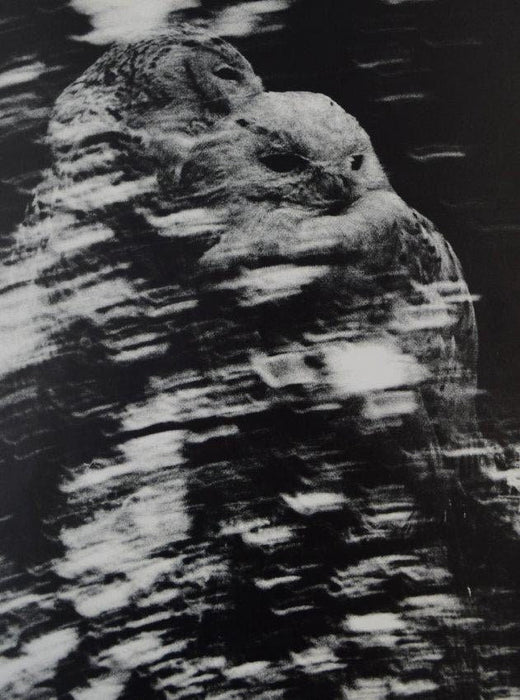 Man Ray - Study of speed - FineArt Vendor