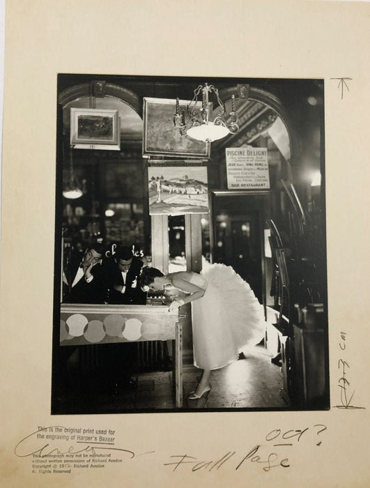 Richard Avedon - Suzy Parker, Dress by Lanvin-Castillo Lithograph - FineArt Vendor