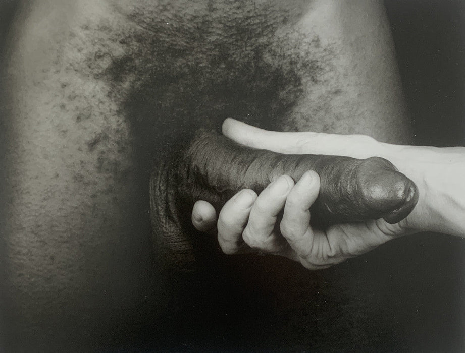 Robert Mapplethorpe - Cock , 1985 - Print in Colors - FineArt Vendor