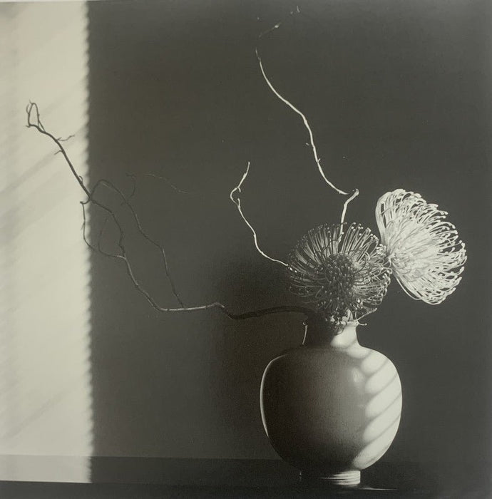 Robert Mapplethorpe - Flower Arrangement , 1986 - Print in Colors - FineArt Vendor