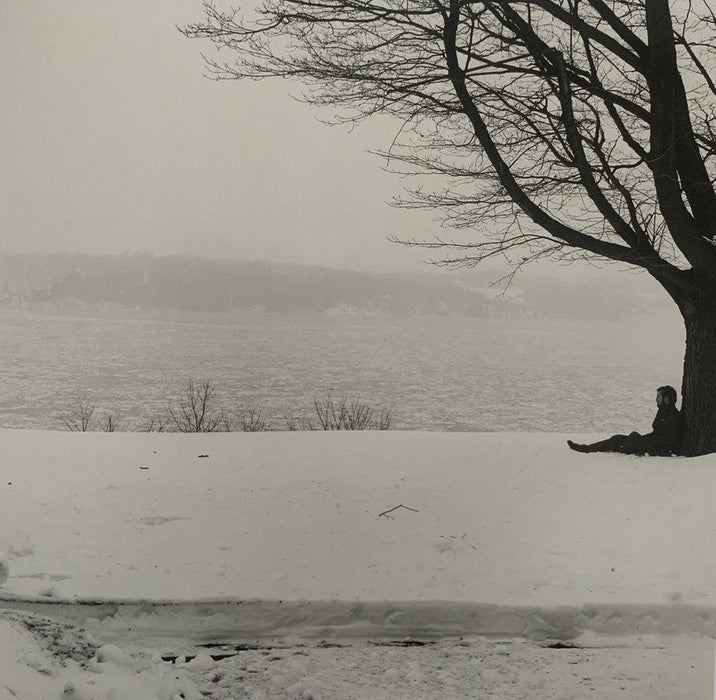 Robert Mapplethorpe - Winter Landscape , 1979 - Print in Colors - FineArt Vendor