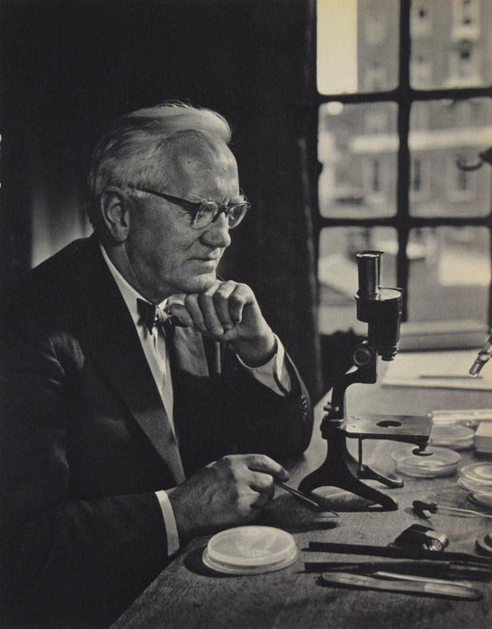 Yousuf Karsh - Sir Alexander Fleming Gravure - FineArt Vendor
