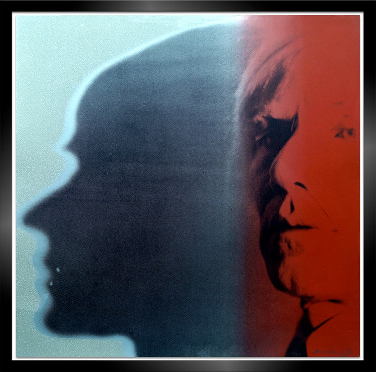 Andy Warhol The Shadow