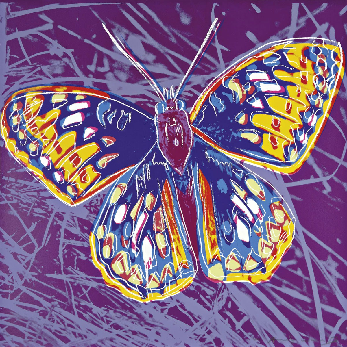 Andy Warhol Butterfly