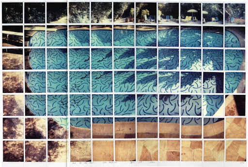 DAVID HOCKNEY ROOSEVELT POOL