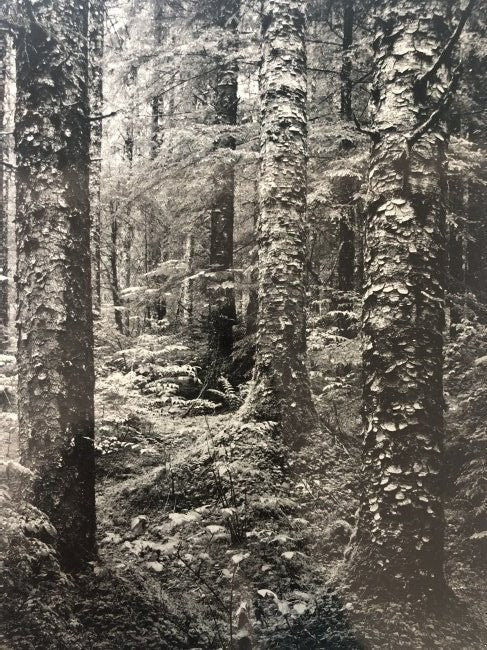 Ansel Adams - Glacier Bay National Monument, Alaska - FineArt Vendor