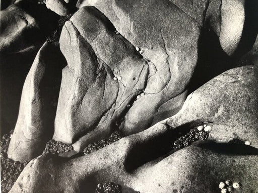 Ansel Adams - Rocks and Limpets, California 1965 - FineArt Vendor