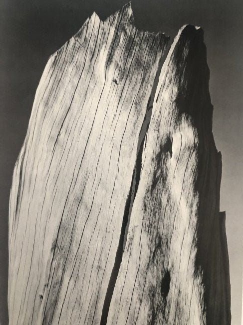 Ansel Adams - The White Stump, California 1936 - FineArt Vendor