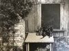 Edward Weston - Cats on Woodbox, 1944 - FineArt Vendor