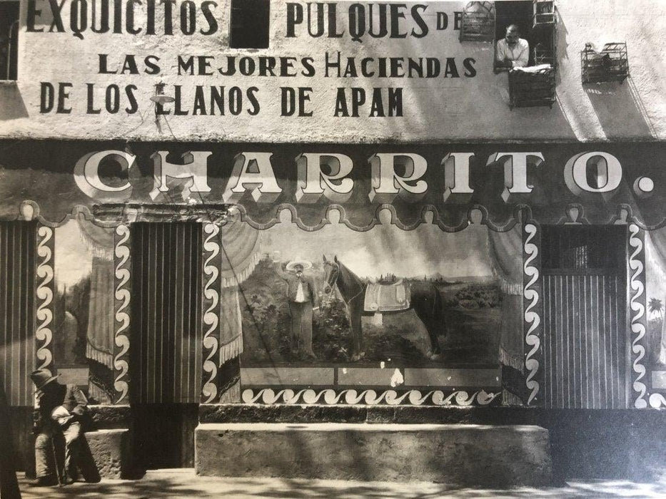 Edward Weston - Charrito (Pulqueria), Mexico, 1926 - FineArt Vendor