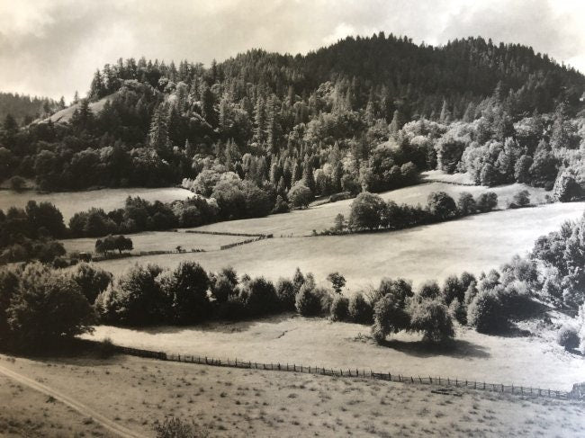 Edward Weston - Eel River Ranch, 1937 - FineArt Vendor