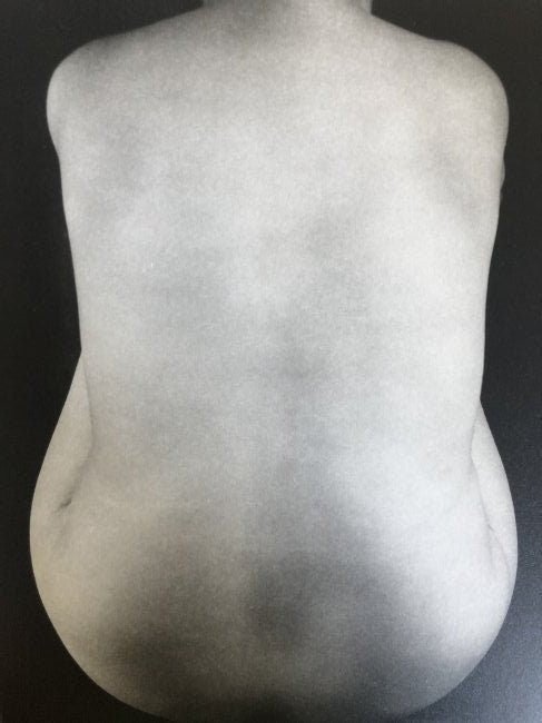 Edward Weston - Nude, 1925 - FineArt Vendor