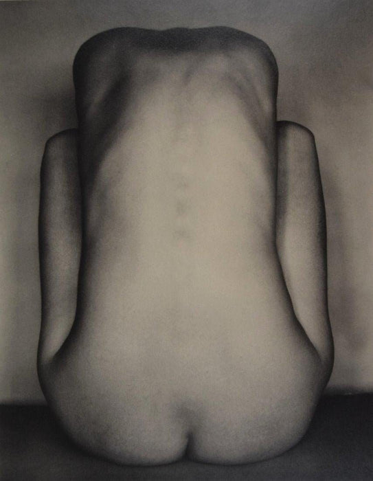 Edward Weston - Nude 1934 - FineArt Vendor