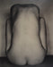 Edward Weston - Nude 1934 - FineArt Vendor