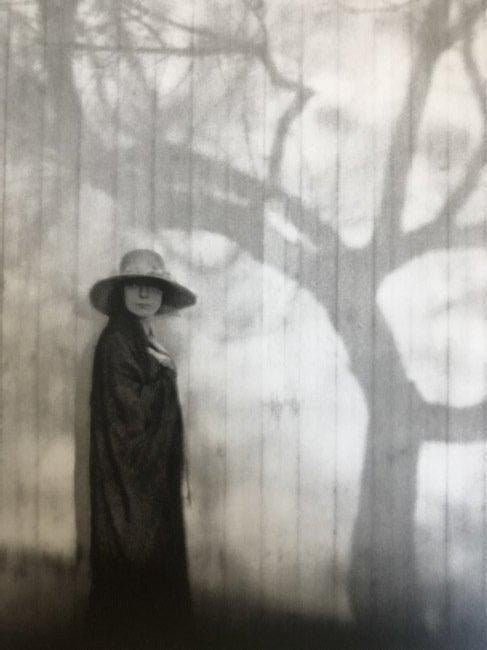 Edward Weston - Prologue to a Sad Spring, 1920 - FineArt Vendor
