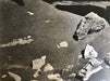 Edward Weston - Rocks and Pebbles, Point Lobos, 1948 - FineArt Vendor